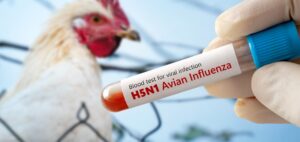 Read more about the article Alarming Mutation in H5N1 Virus Raises Pandemic Concerns